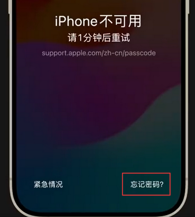 天安乡苹果手机密码维修分享iPhone忘记了刚设置的密码 